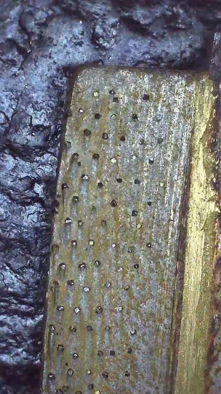 Edge cutting segment for marble (7)